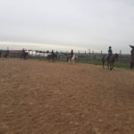 Pony Club Roma Equestrian Center Esterno Passeggiata