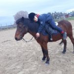 Pony Club Roma Equestrian Center Dettaglio